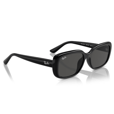 Ray-Ban RB4421D 66787 56 Black/Grey