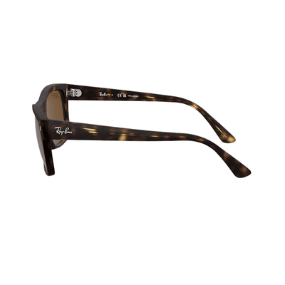 Ray-Ban RB4428 894 57 MT Havana Polarised