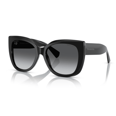 Tiffany & Co. TF4229 8001T3 55 Black/Grey