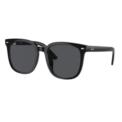 Ray-Ban RB4401D 608/87 Polished Black/Dark Grey