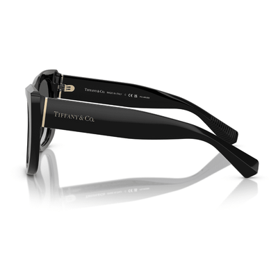 Tiffany & Co. TF4229 8001T3 55 Black/Grey polarised