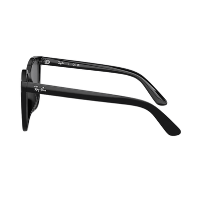 Ray-Ban RB4401D 608/87 Polished Black/Dark Grey