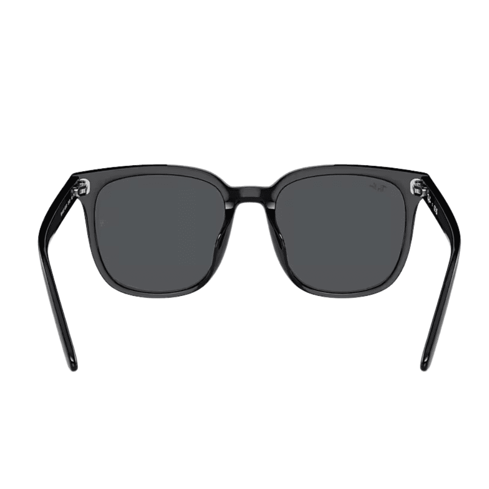 Ray-Ban RB4401D 608/87 Polished Black/Dark Grey