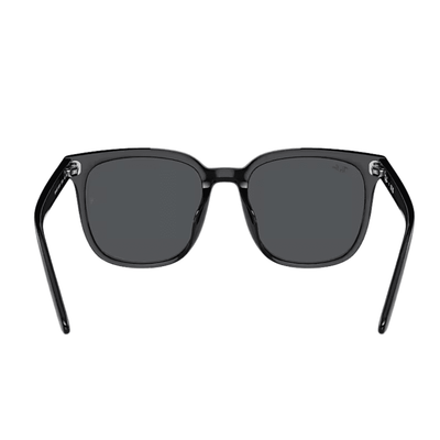 Ray-Ban RB4401D 608/87 Polished Black/Dark Grey