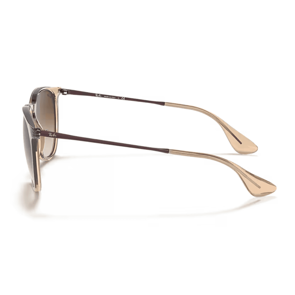 Ray-Ban RB4171 651413 54 Transparent Brown/Brown Erika