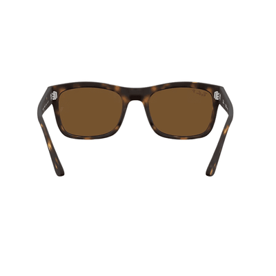 Ray-Ban RB4428 894 57 MT Havana Polarised