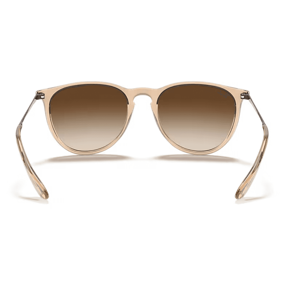 Ray-Ban RB4171 651413 54 Transparent Brown/Brown Erika
