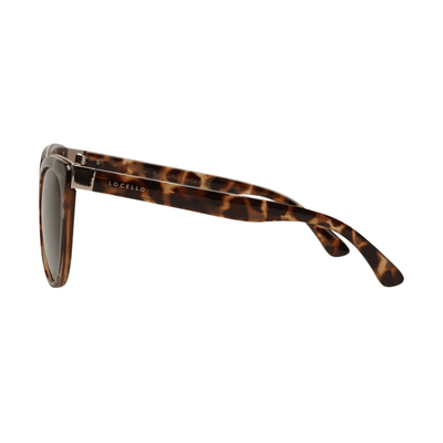 Locello Paris 3921E Tort Brown Polarised