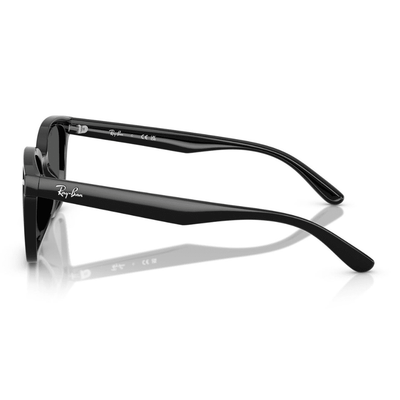Ray-Ban RB4461D 601/87 64 Black/Dark Grey