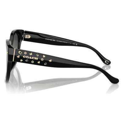 Coach HC8393U 50023 C 53 CR612 BLACK GRADIENT LENS