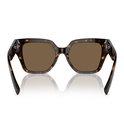 Dolce & Gabbana DG4471 502/73 52 Havana/Dark Brown