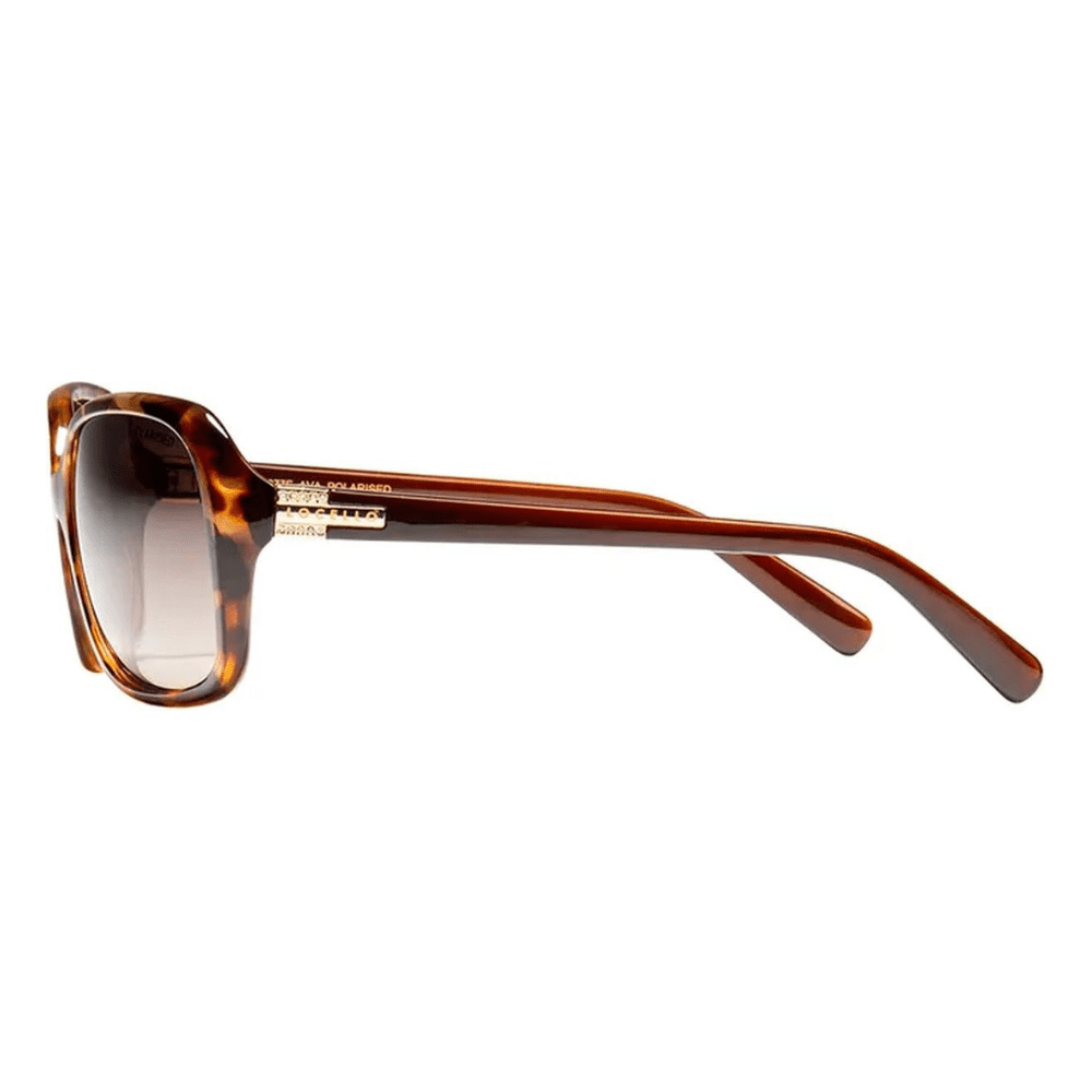 Locello Ava 3770E Tort/Brown Gradient Polarised