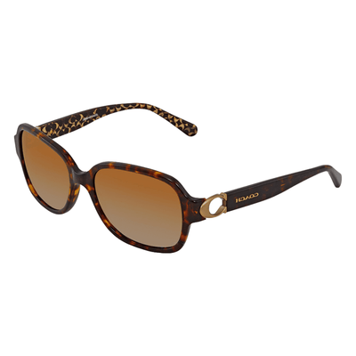 Coach HC8241 5507T5 57 Dark Tortoise Polarised