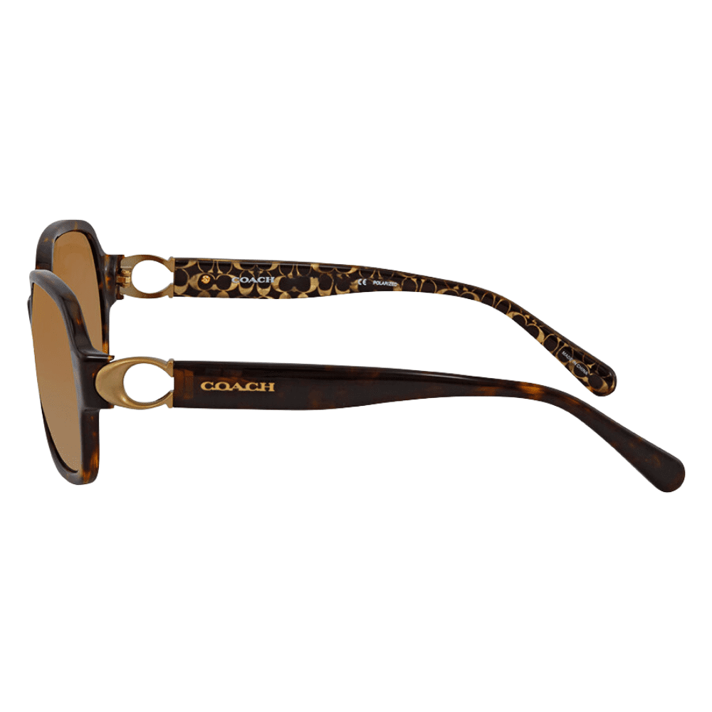 Coach HC8241 5507T5 57 Dark Tortoise Polarised