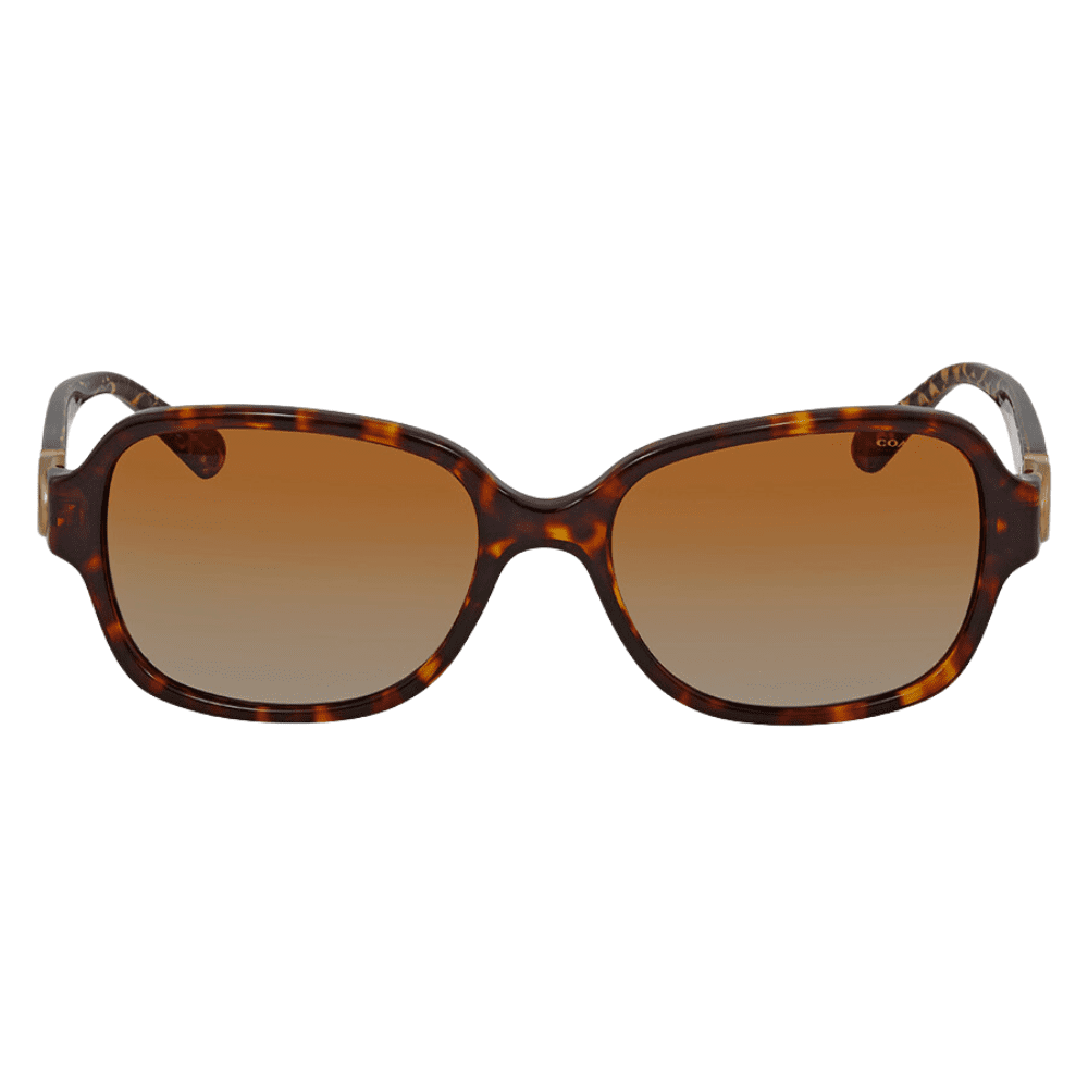 Coach HC8241 5507T5 57 Dark Tortoise Polarised