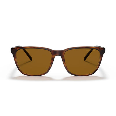 Arnette Cortex AN4291 277083 Dark Havanna Brown Polarised Sunglass Culture Front View