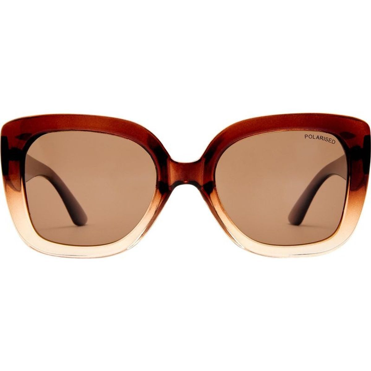 Cancer Council Minto 2558880 Chocolate Gradient/Brown Polarised