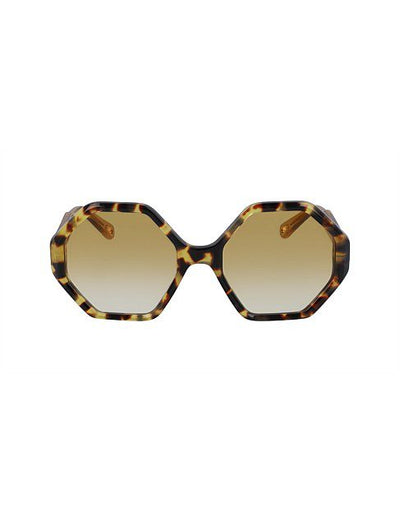 Chloé Willow CE750S 846 55 Havana/Honey Brown Gradient