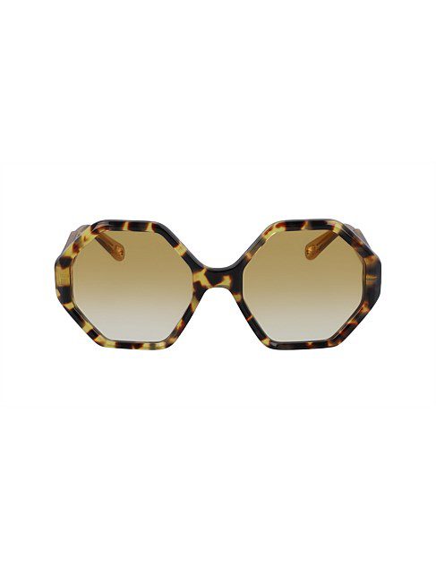 Chloé Willow CE750S 846 55 Havana/Honey Brown Gradient