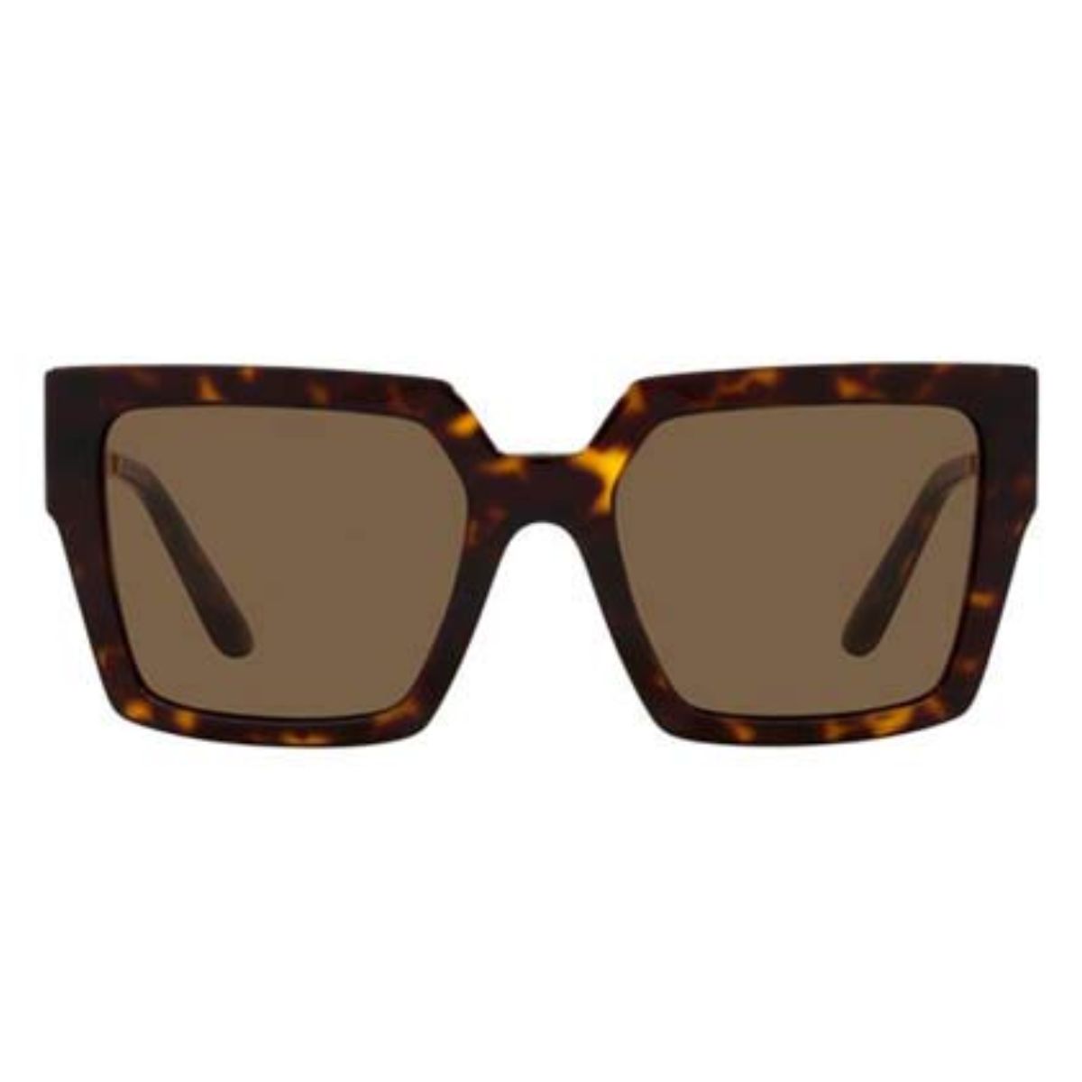 Dolce & Gabbana DG4446B 502 73 53 Havana/Brown