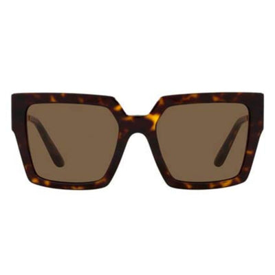 Dolce & Gabbana DG4446B 502 73 53 Havana/Brown