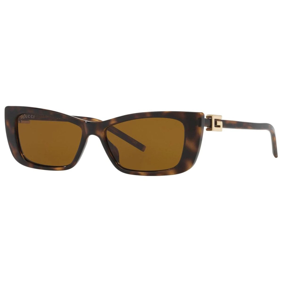 GUUCI GG1681S 004 53 HAVANA TORT BROWN sleek slim cat eye sunglass culture side