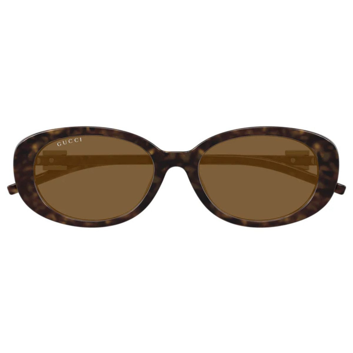 Gucci GG1684SA 004 Havana tort brown oval womens slim sunglass culture coomera