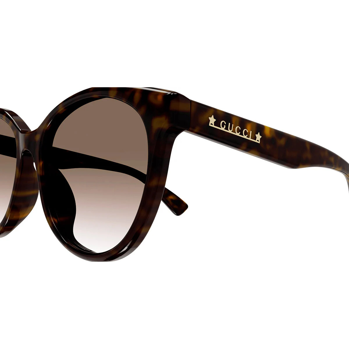 Tortoiseshell Gucci sunglasses on a white background