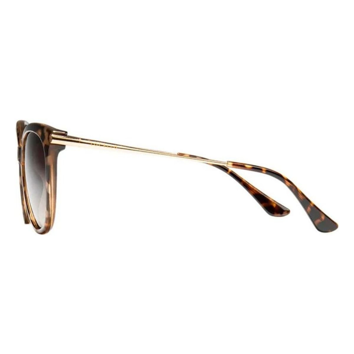 Locello Ashley 3876E Gold Tortoiseshell/Brown Gradient Polarised
