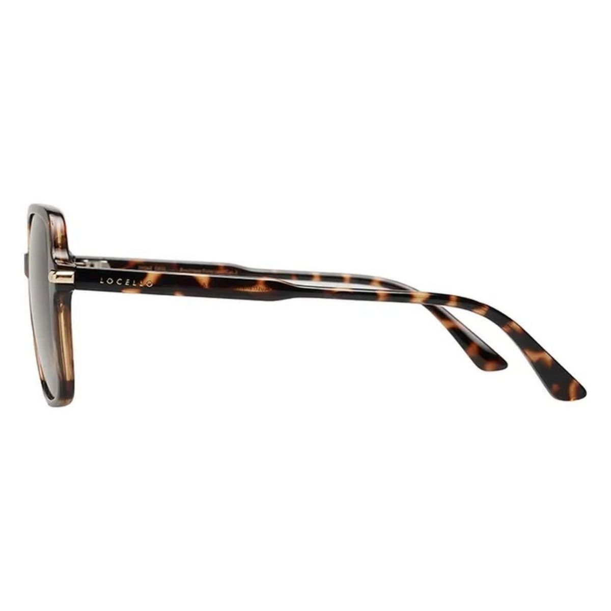 Locello Desi 3906E Tortoiseshell/Brown Gradient Polarised