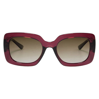Locello Stella 3884P Plum/Brown Gradient Polarised