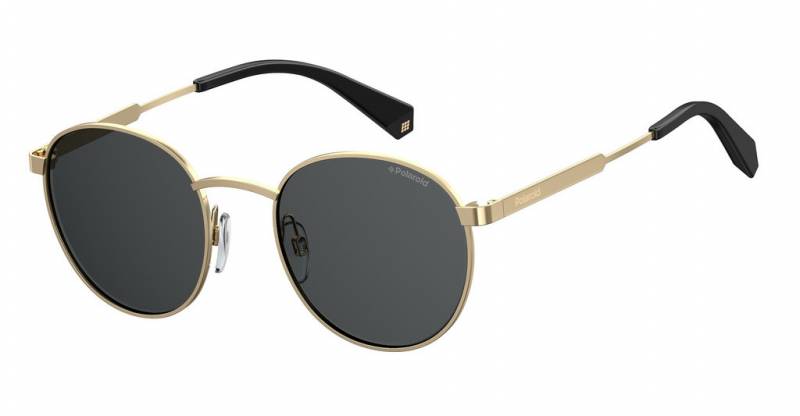 Polaroid Eyewear PLD 2053 S 2F7 M9 gold Grey round polarised festival Fashion metal mens womens Sunglass culture side