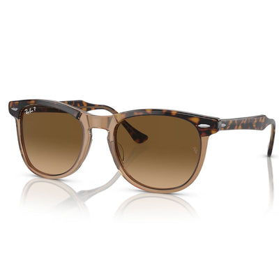 Ray-Ban RB2398 Eagle Eye 129 M2 53 Tortoiseshell/Brown Gradient Glass Lens Polarised