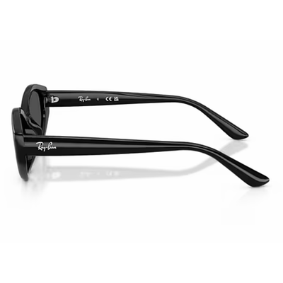 Ray-Ban RB4473D 667787 55 BLACK