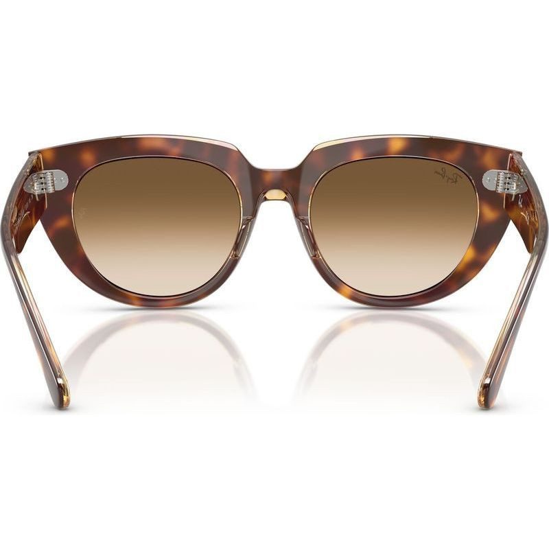 Ray-Ban RB2286 141451 52 Doreen Light Havana on Transparent Multicolour/Brown Clear Gradient