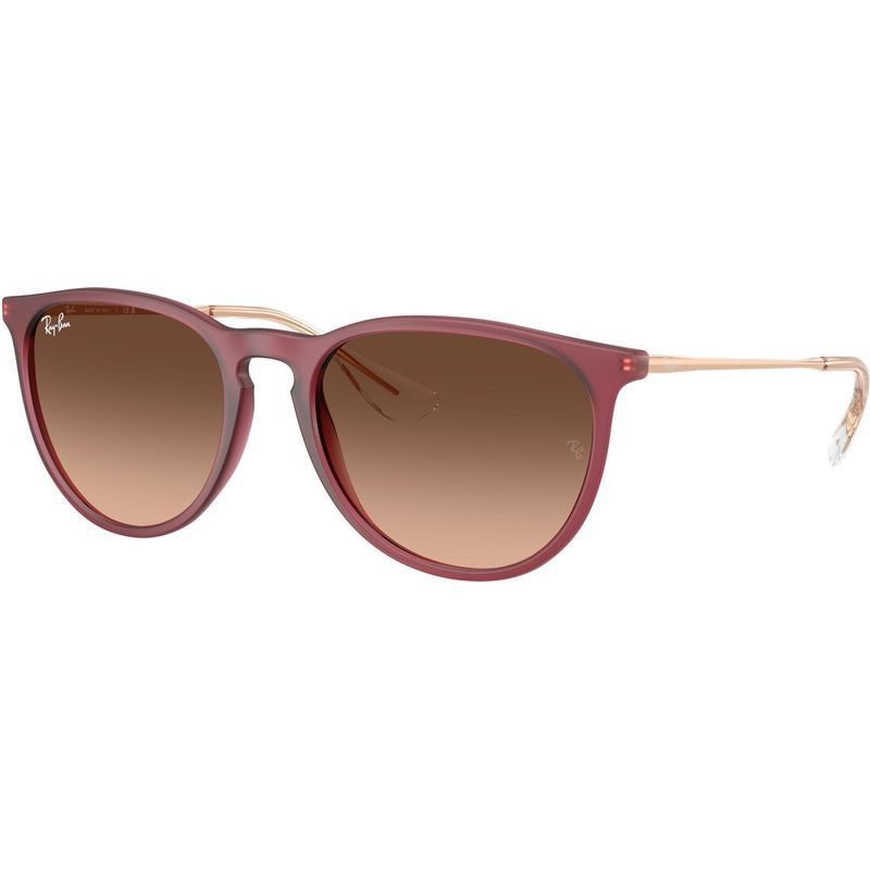 Ray-Ban RB4171 Erika 681585 54 Rubber Violet/Brown Pink Gradient