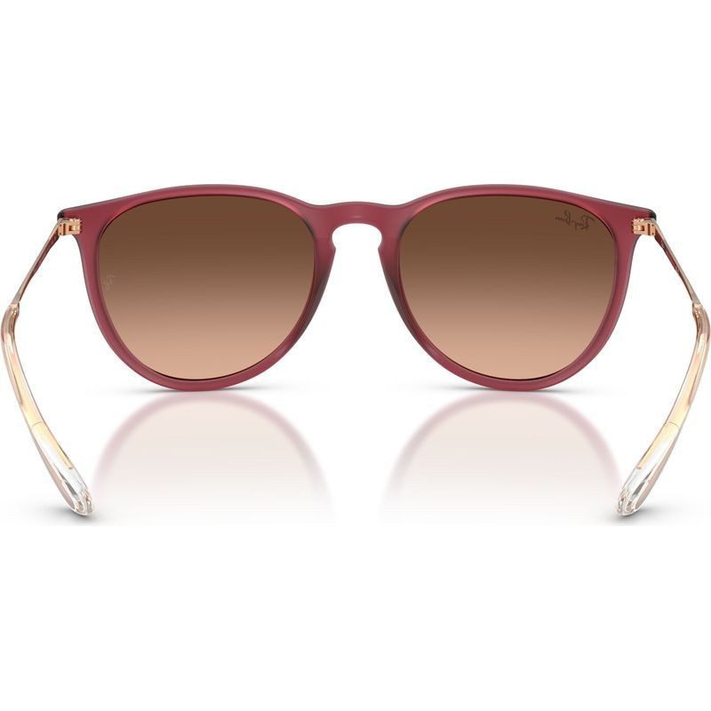 Ray-Ban RB4171 681585 54 Rubber Violet/Brown Pink Gradient Erika