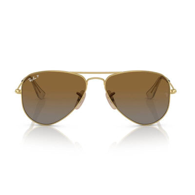 Ray-Ban Kids RJ9506S 223/T5 52 Gold/Brown Polarised