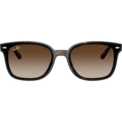Ray-Ban RB4461D 710 13 64 Havana/Brown Gradient