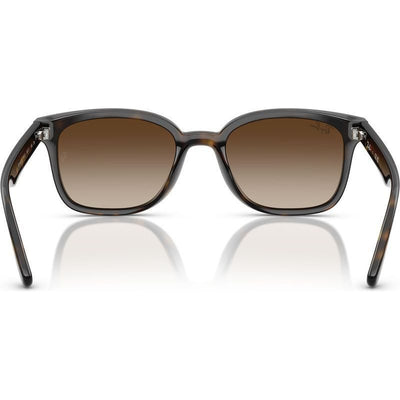 Ray-Ban RB4461D 710 13 64 Havana/Brown Gradient