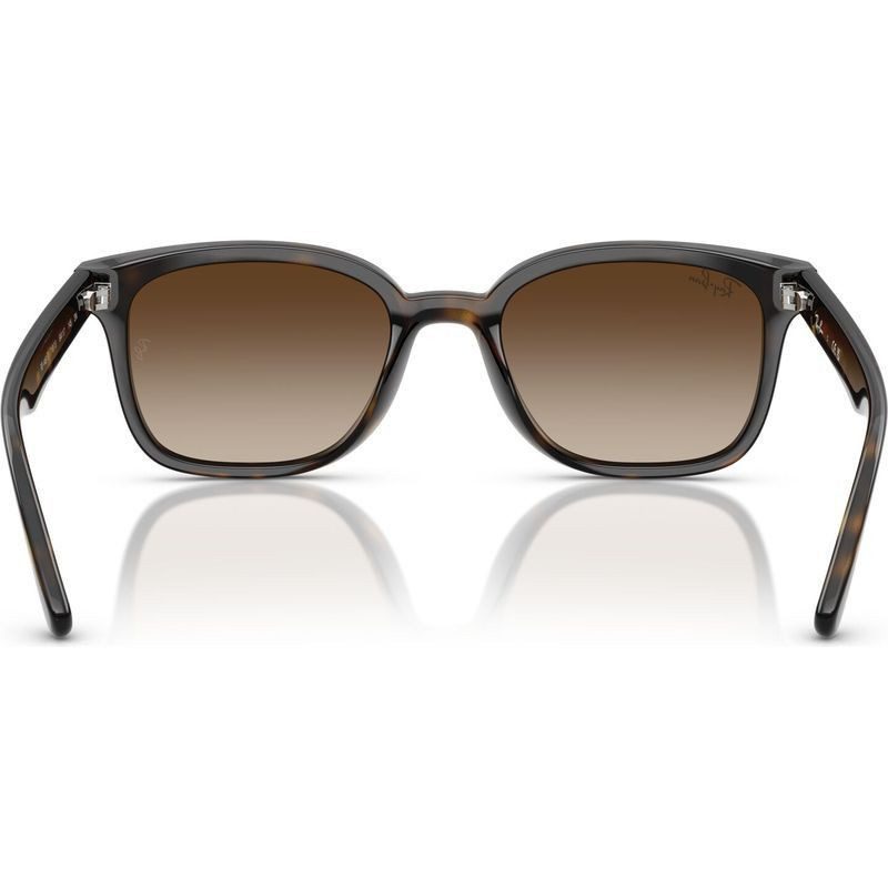 Ray-Ban RB4461D 710 13 64 Havana/Brown Gradient