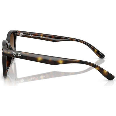 Ray-Ban RB4461D 710 13 64 Havana/Brown Gradient