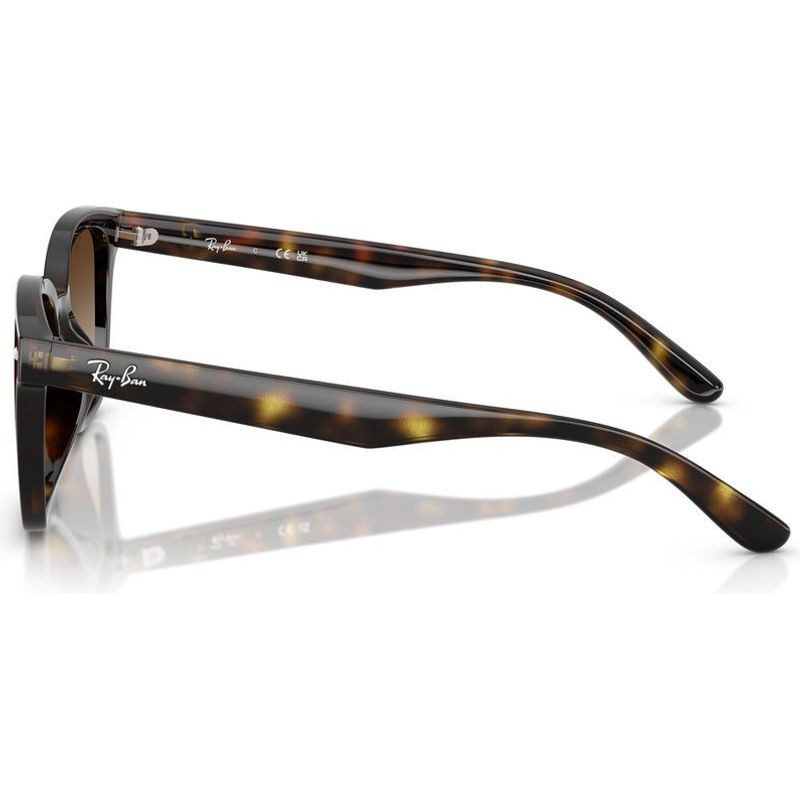 Ray-Ban RB4461D 710 13 64 Havana/Brown Gradient