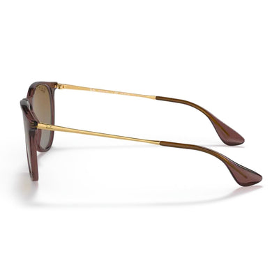 Ray-Ban RB4171 6593T5 54 Transparent Dark Brown Gradient Polarised Erika