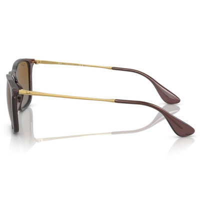Ray-Ban RB4187 Chris 6593T5 54 Transparent Brown Gradient Lens Polarised