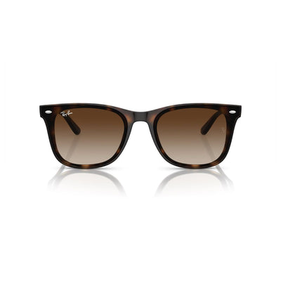 Ray-Ban RB4420 710/13 65 Brown Tortoise/Brown