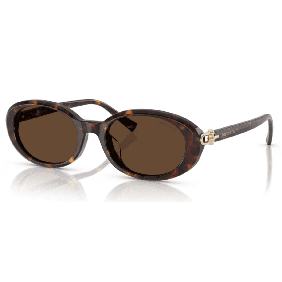 Tiffany & Co. TF4242D 80153G 54 Havana Brown TF4242D 80153G 54 brown oval sunglass culture sunnies fashion