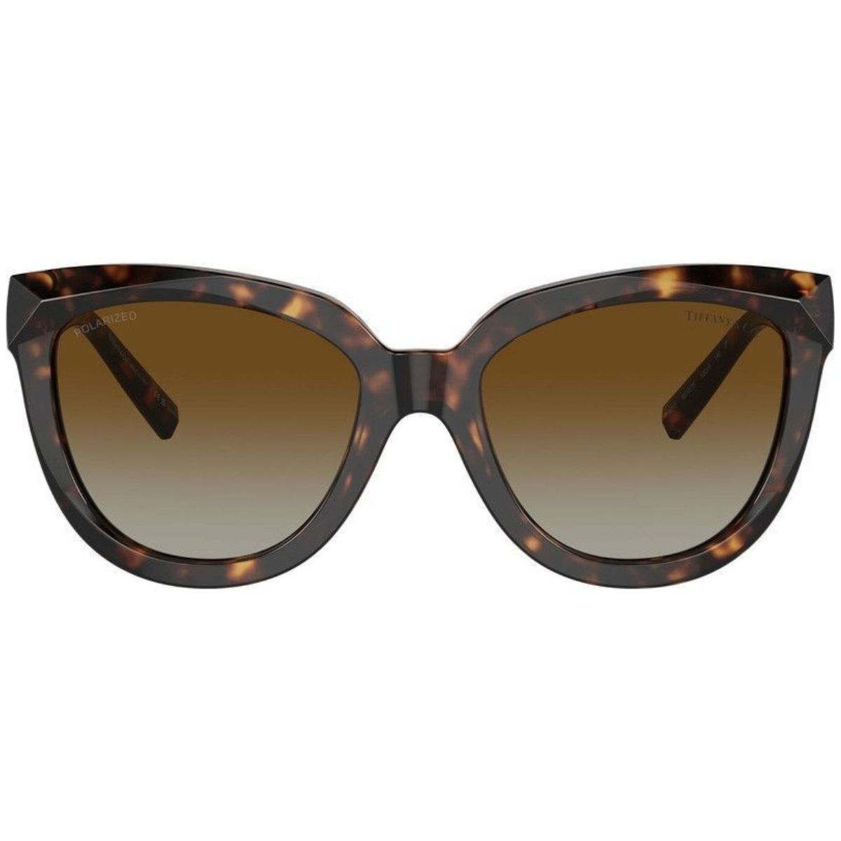 TIFFANY and Co 0TF4215 8015T55 Havanna Brown Polarised WOmens Sunglass Culture Front
