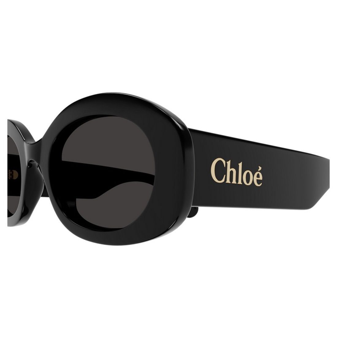 Chloé CH0256S Black/Black