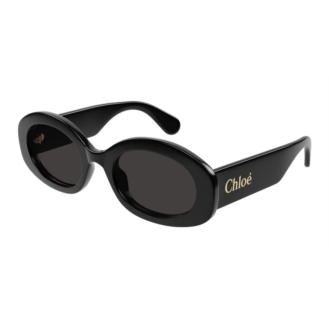 ova sunglass Chloé CH0256S Black/Black
